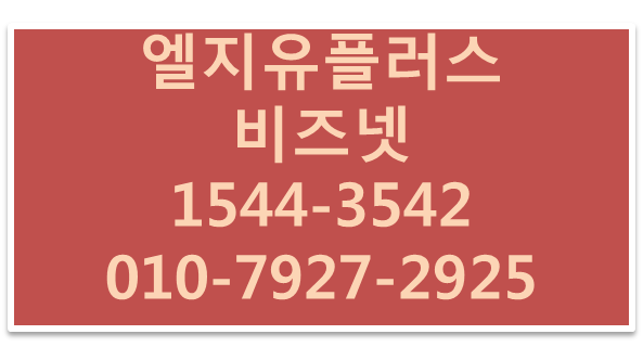 LG U+ 비즈넷 단독 광케이블,고정ip기업인터넷