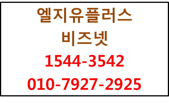 엘지유플러스 비즈넷,고정IP기업광케이블인터넷