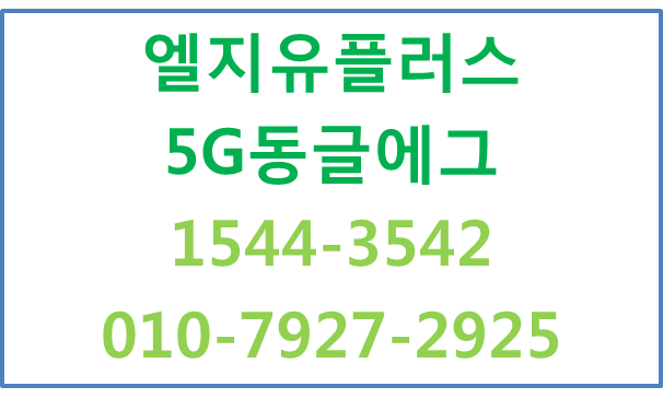 LG유플러스 5G동글라우터,포켓와이파이임대에그