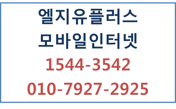 모바일인터넷,무선인터넷와이파이공유기에그임대
