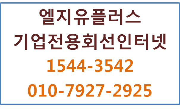 LG유플러스 기업전용회선인터넷,고정IP광케이블