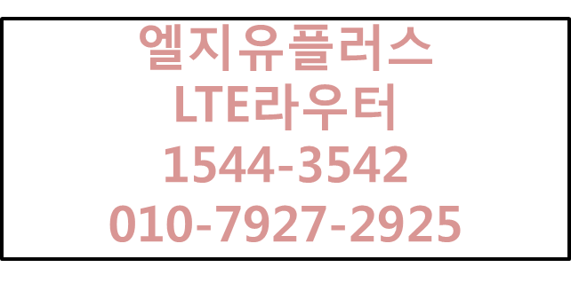 모바일라우터,무선인터넷M2M,포켓와이파이에그