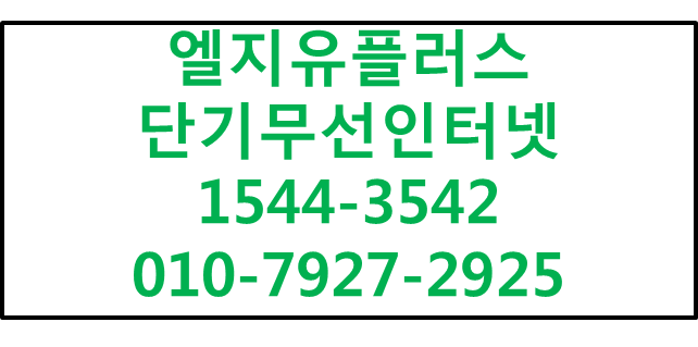 단기무선인터넷와이파이공유기에그,M2M당일개통