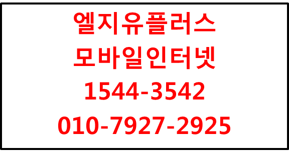 LGU+모바일인터넷,무선인터넷와이파이공유기에그